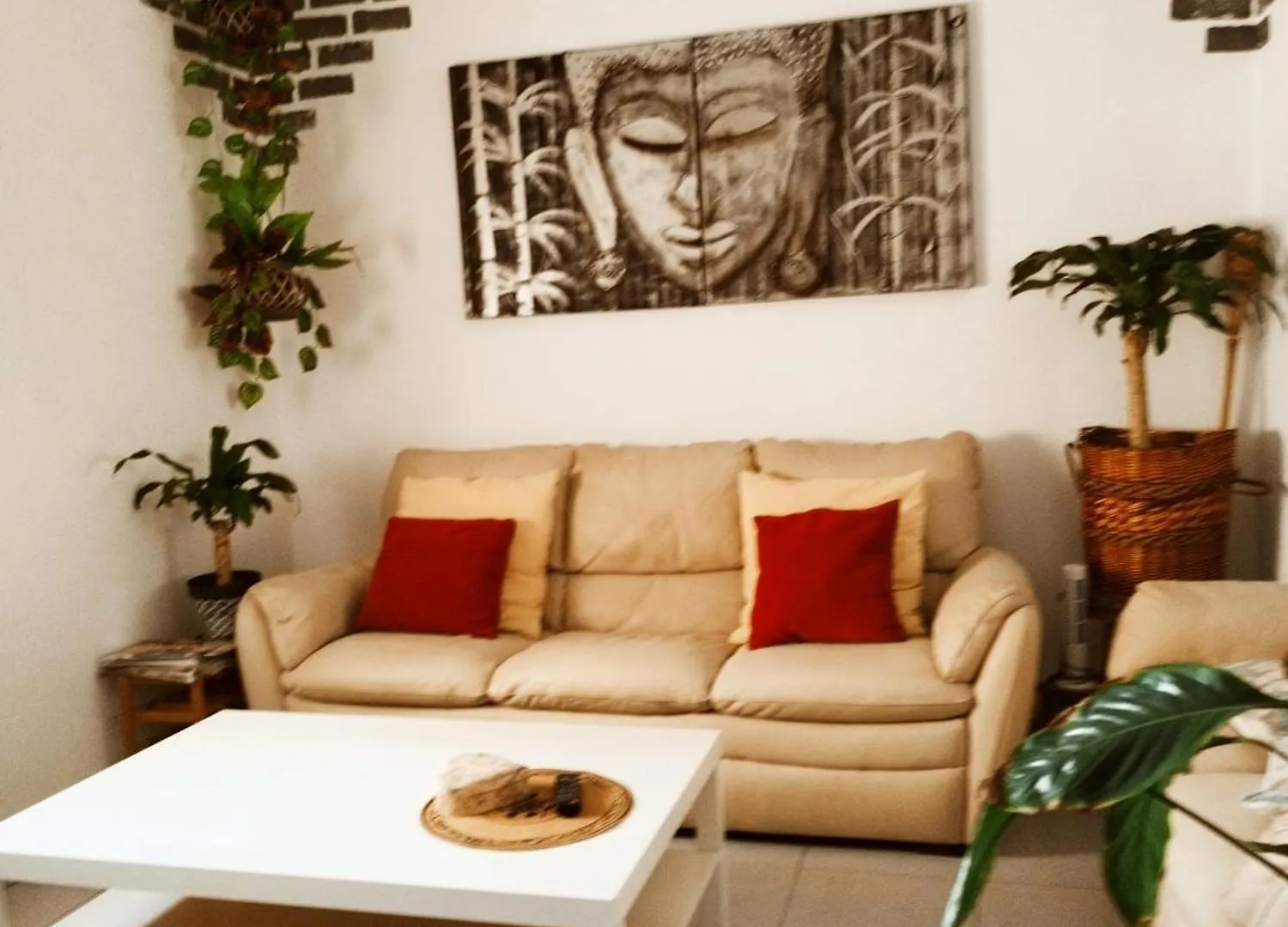 Gasthof Casapatrizia Appartamento Compartido Santa Cruz de Tenerife Spanien